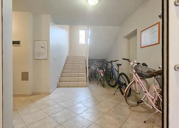 Senka * Novigrad Istria